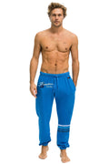 PALM TREE FEST HAMPTONS 2026 UNISEX POCKET SWEATPANTS - COBALT
